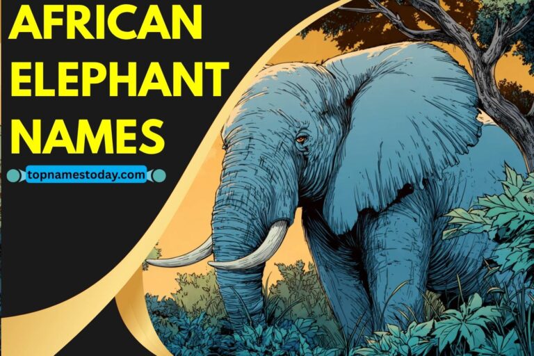 african elephant names