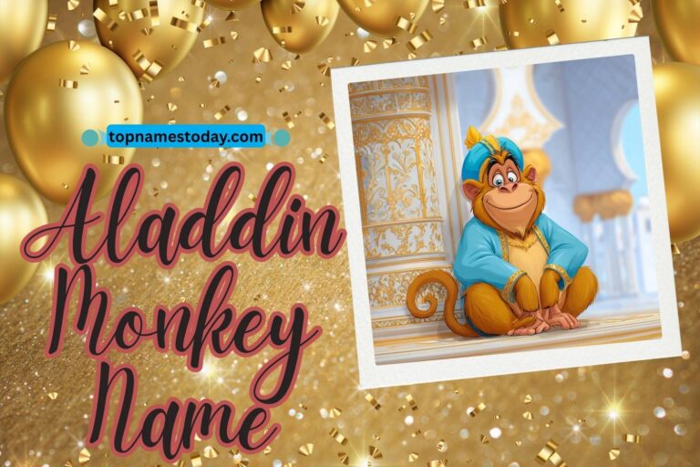 aladdin monkey name