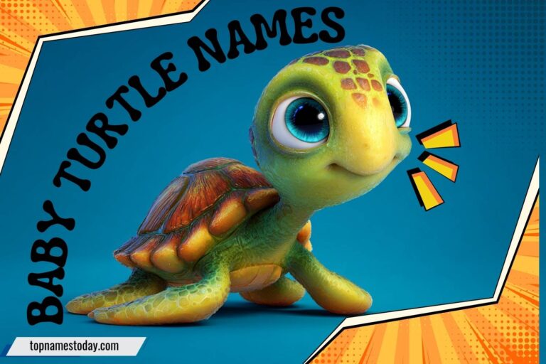 baby turtle names