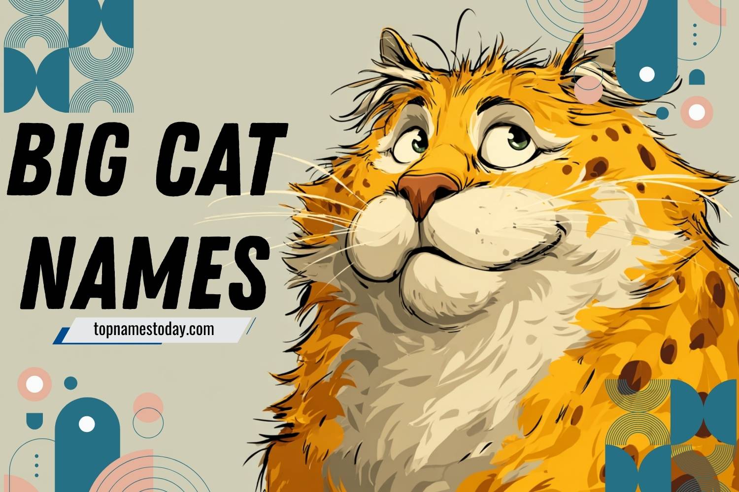 big cat names