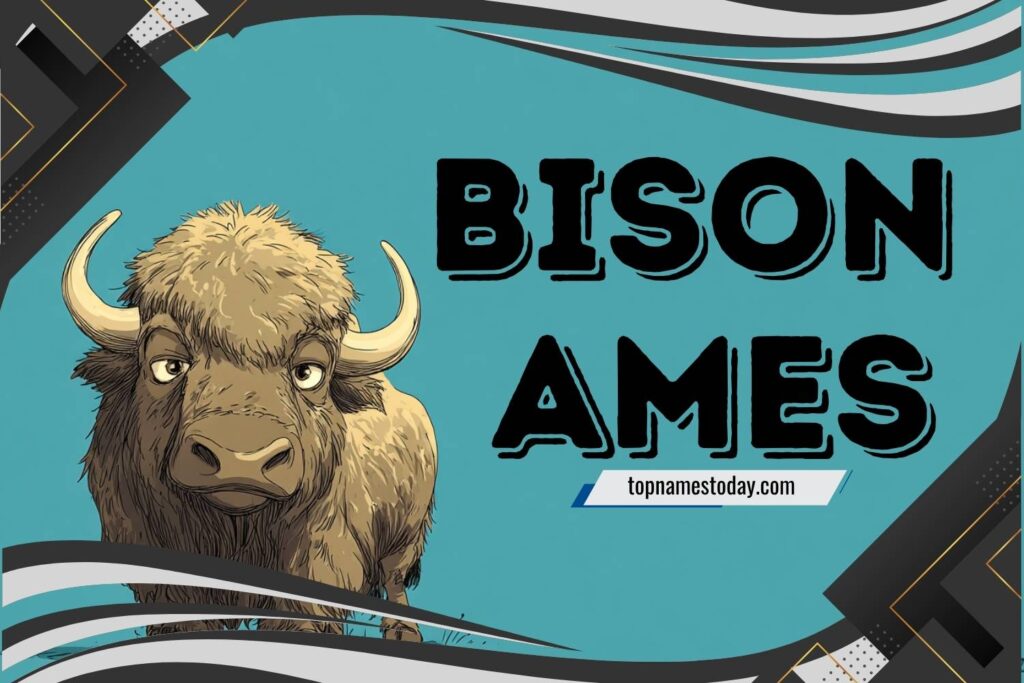 381+ Best Bison Names for Your Mighty Yet Gentle Beast - Top Names Today
