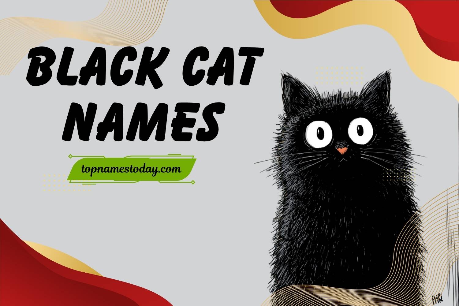 black cat names