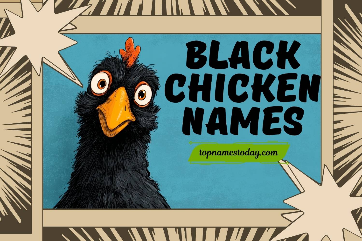 385+ Best Black Chicken Names: Cute, Funny, Cool & Unique Ideas for ...