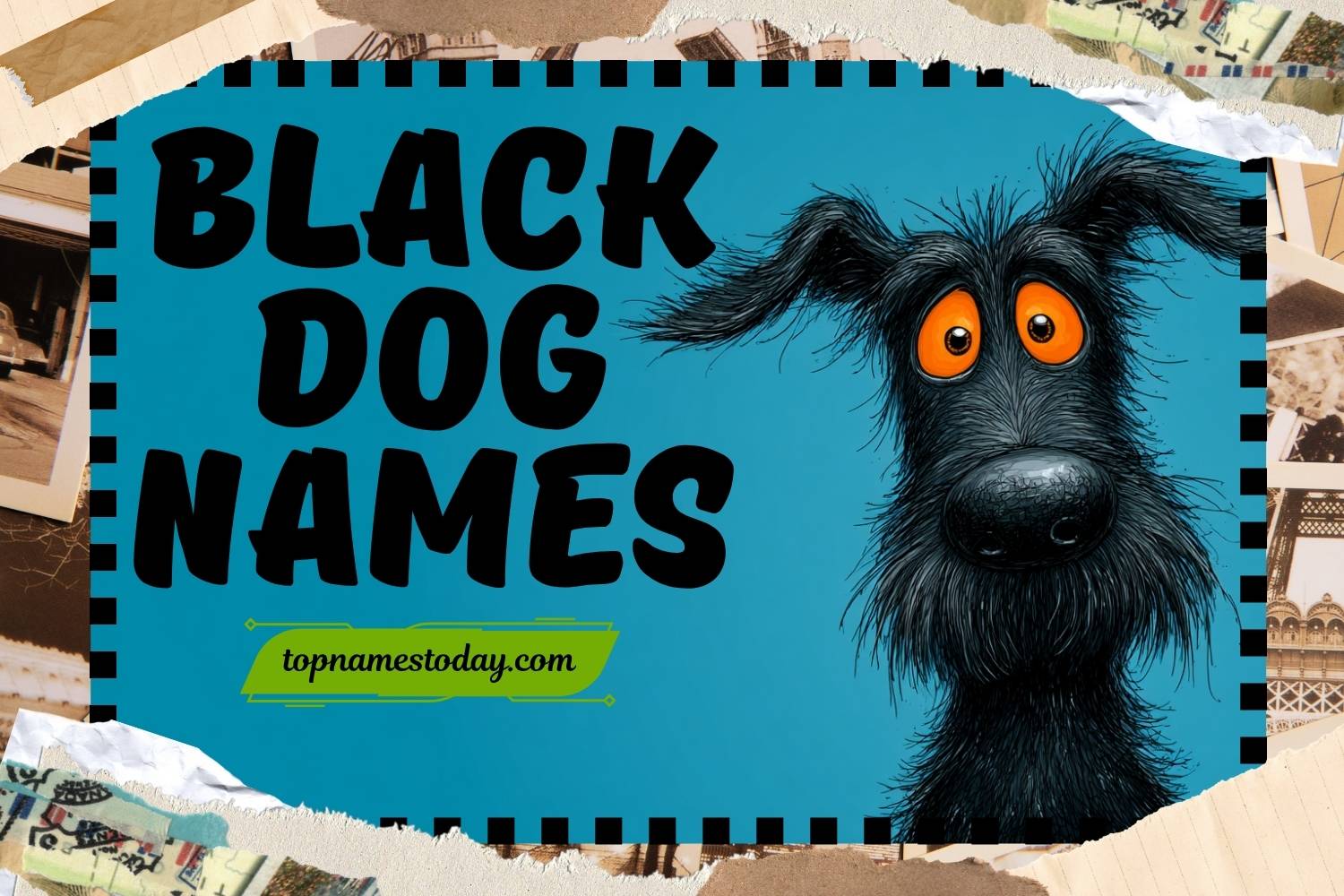 black dog names