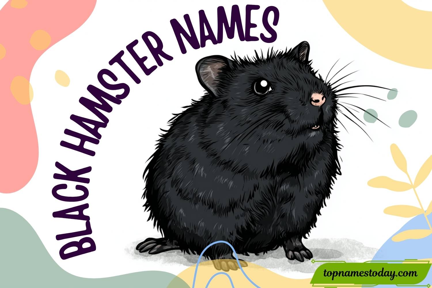 black hamster names