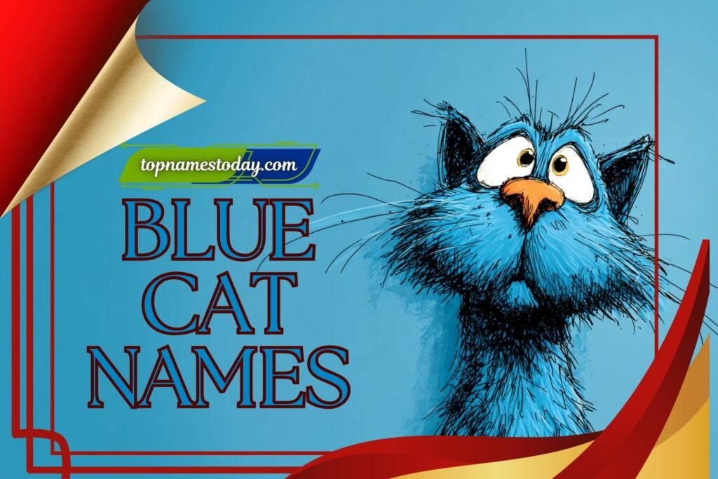 411+ Blue Cat Names for Your Cool and Calm Kitty