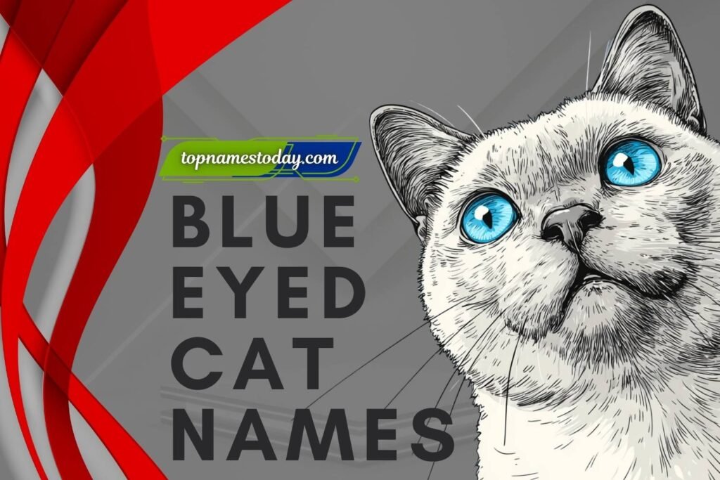 448+ Blue Eyed Cat Names for Your Charming Feline