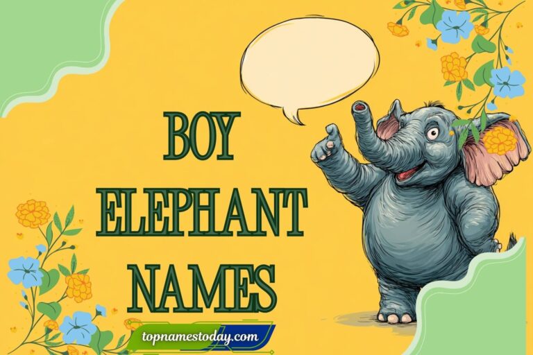 boy elephant names