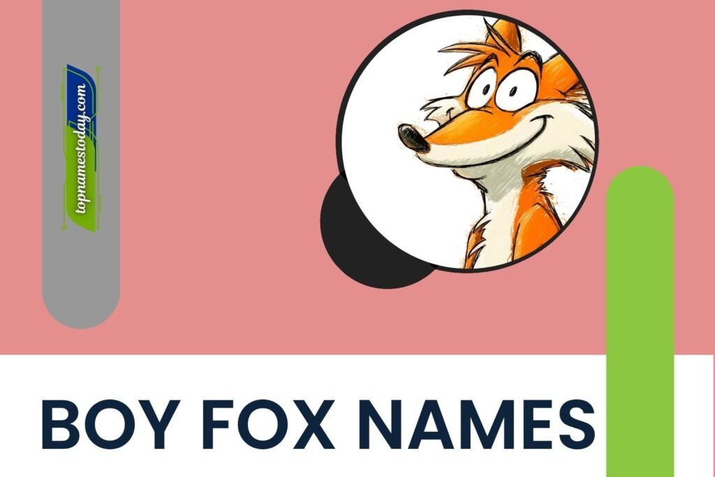 396+ Best Boy Fox Names for Your Clever Little Companion