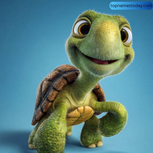 Funny Boy Turtle Names