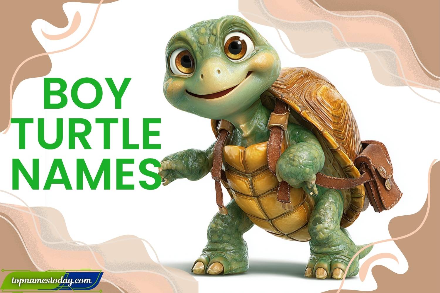 boy turtle names