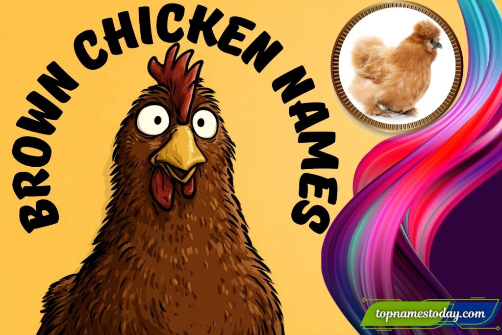 374+ Best Brown Chicken Names: Cute, Funny, Unique & Farm-Inspired Names for Your Feathered Friend