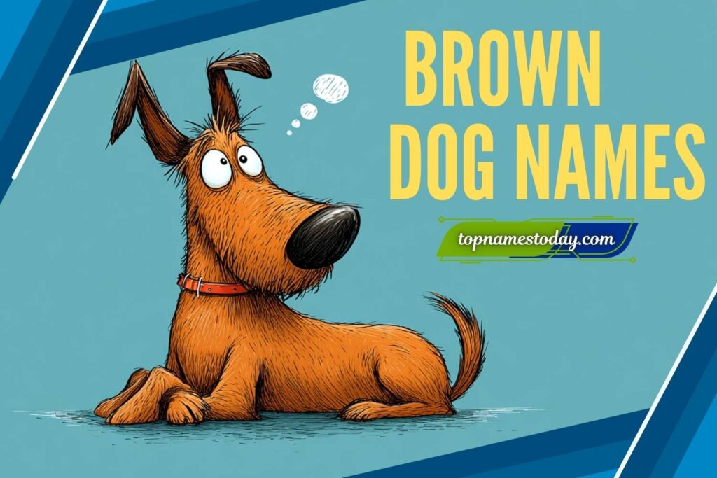 433+ Best Brown Dog Names: Cute, Funny, Cool & Unique Names for Your Chocolate-Coated Companion