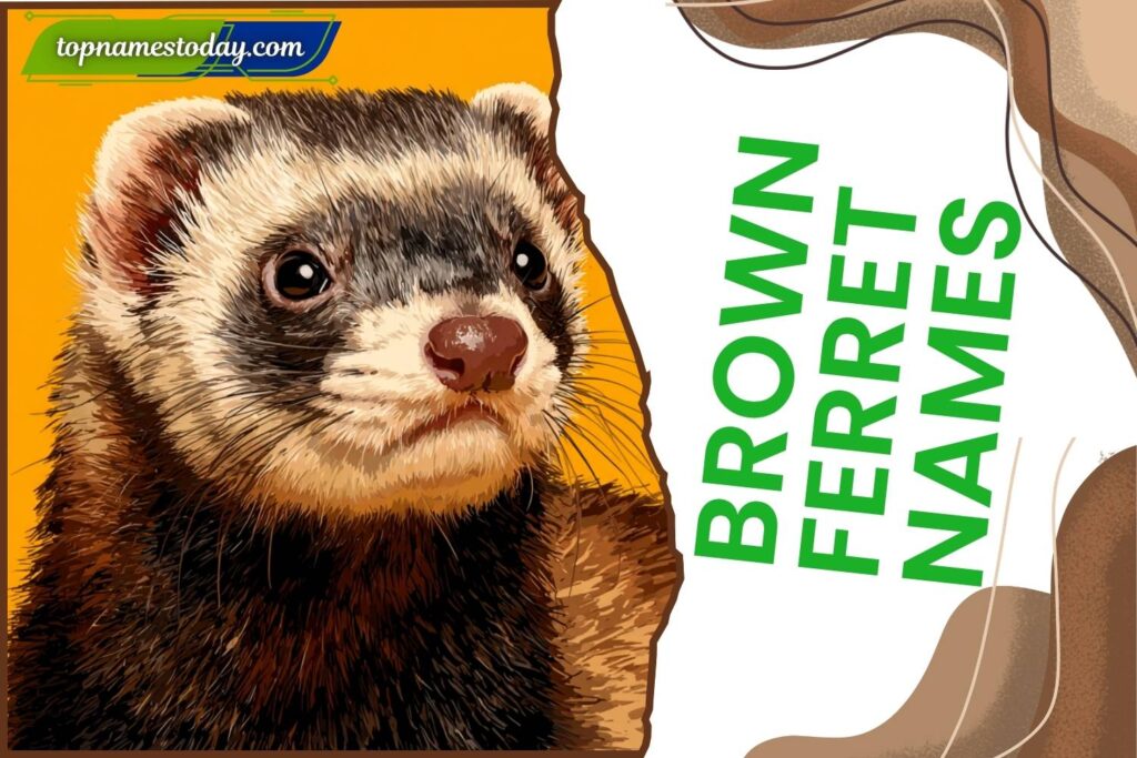 437+ Best Brown Ferret Names: Cute, Funny, Unique & Adorable Names for Your Playful Ferret