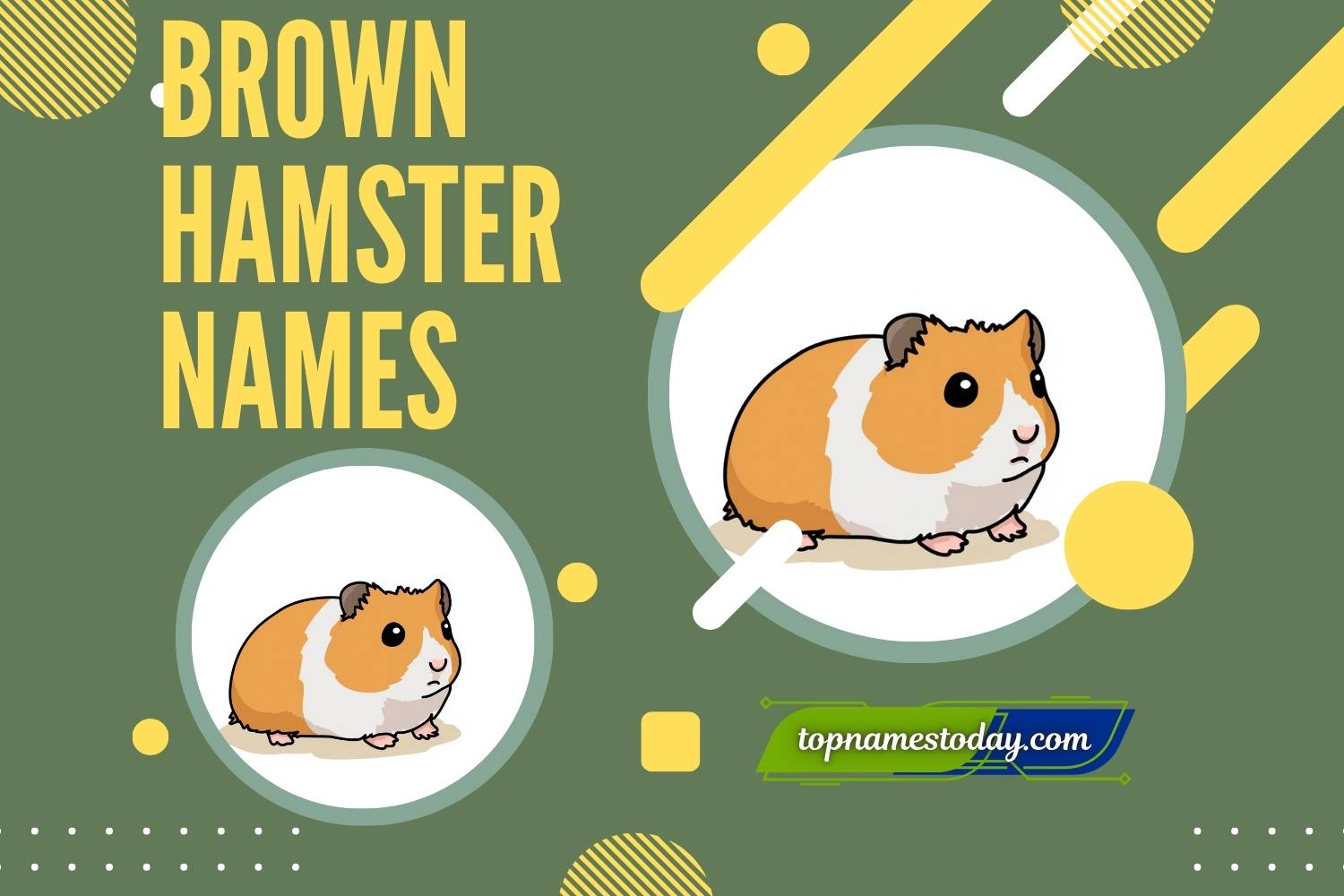 brown hamster names