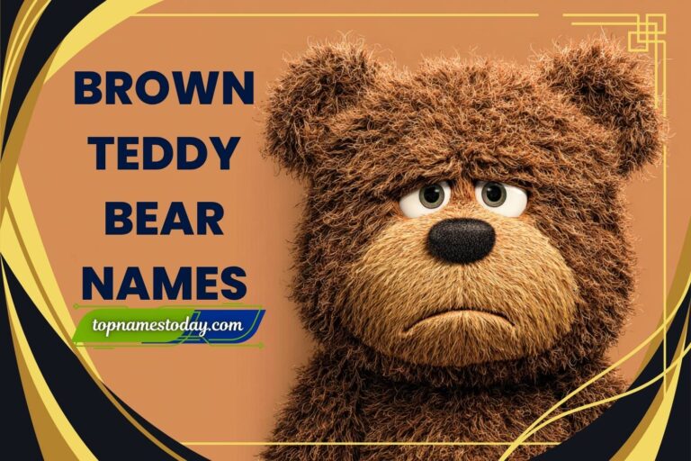 brown teddy bear names