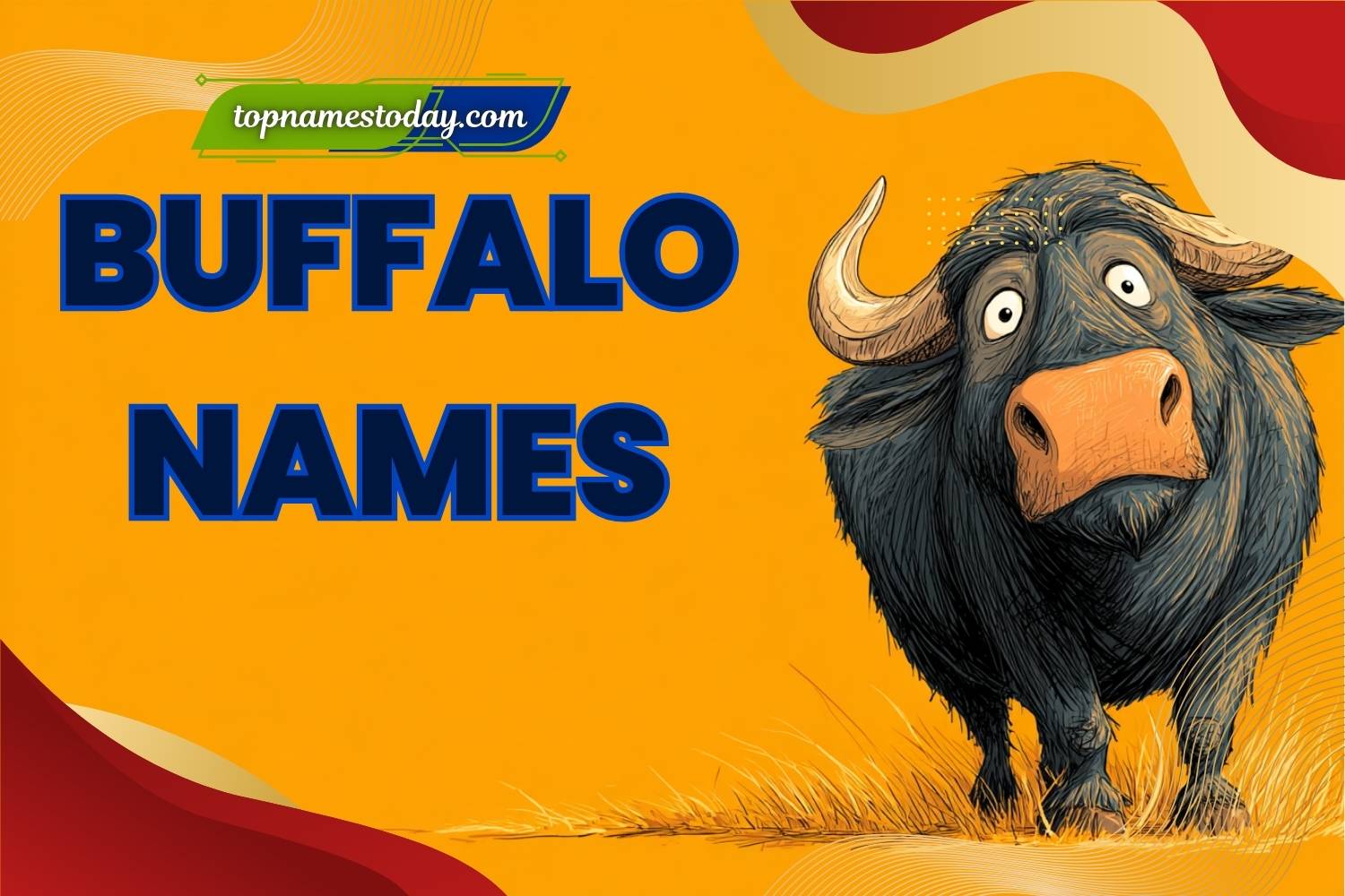 buffalo names