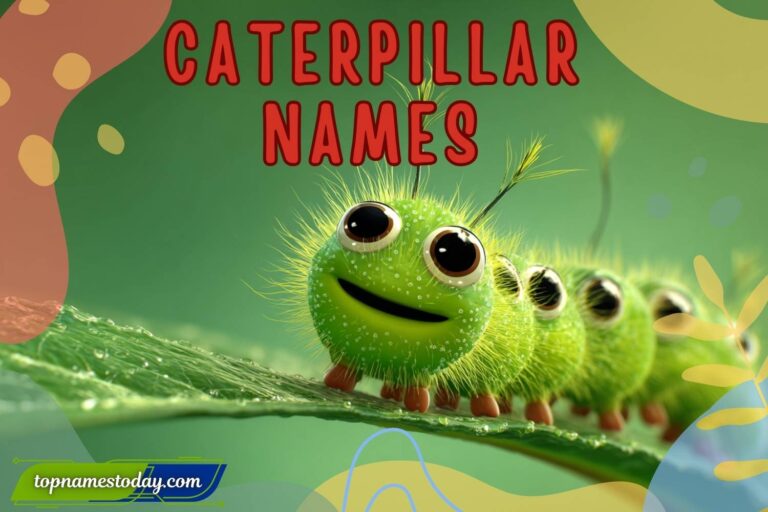caterpillar names