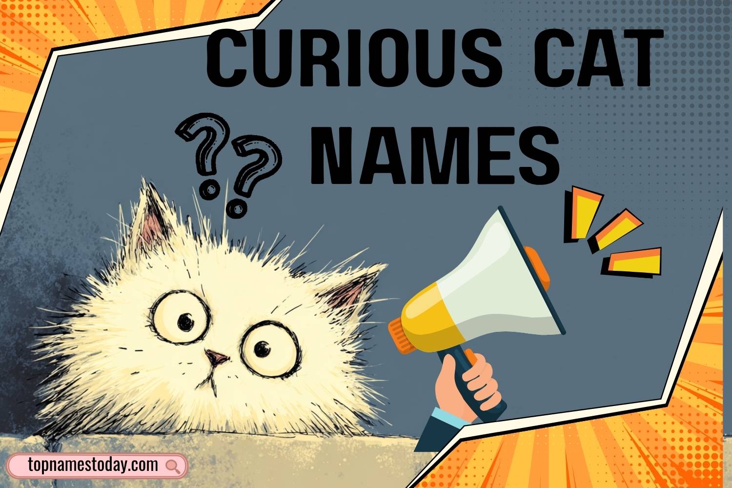 curious cat names