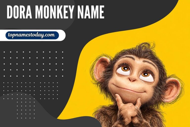 dora monkey name