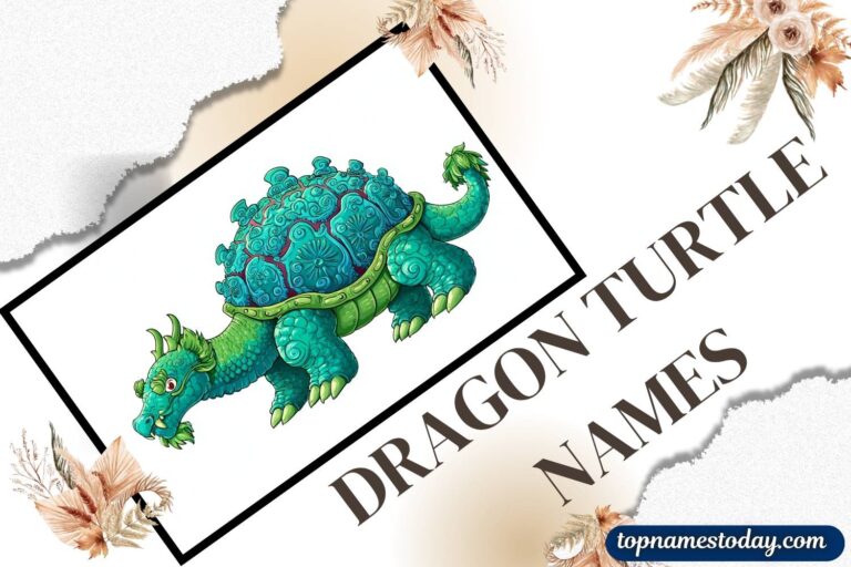 dragon turtle names