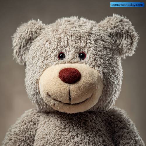 Best Gray Teddy Bear Names