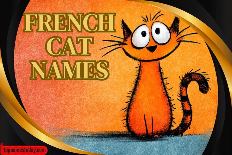 french cat names