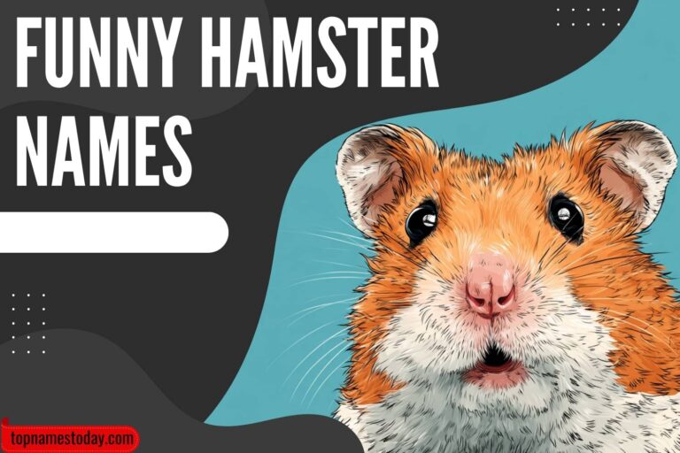 funny hamster names