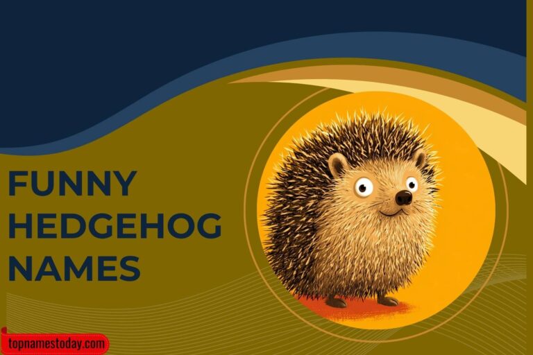 funny hedgehog names