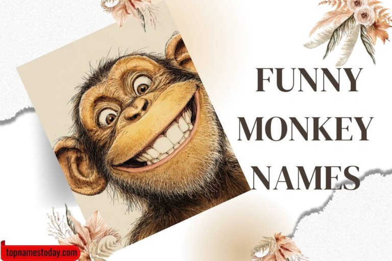 funny monkey names