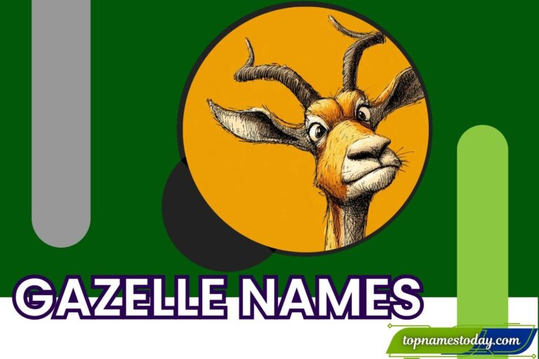 gazelle names
