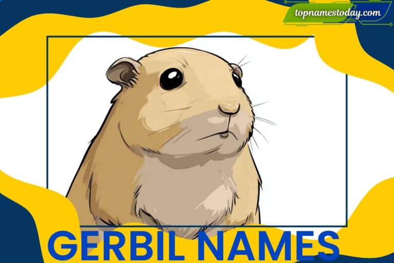 gerbil names