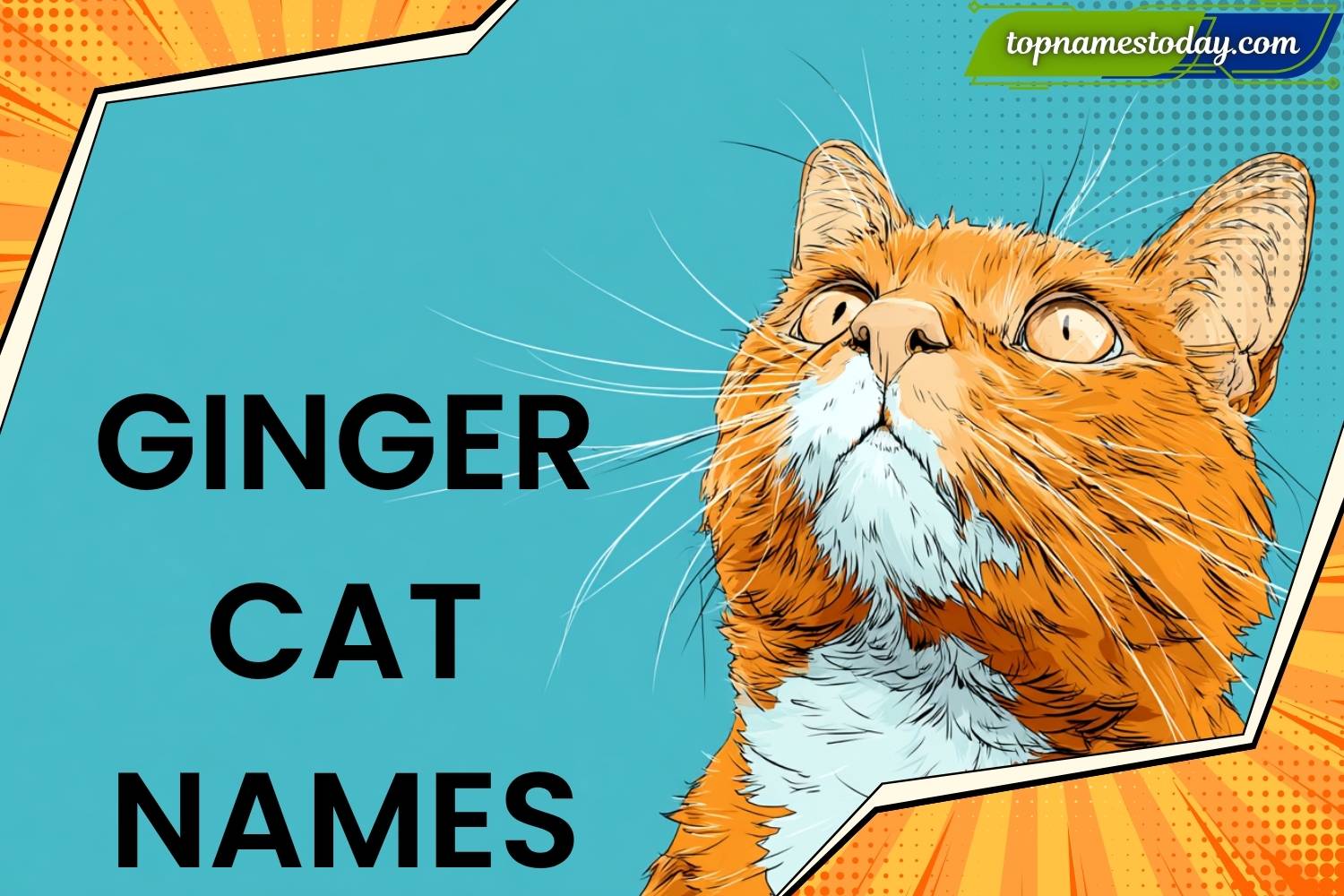 Red Cat Names 296+ Best Ginger Cat Names for Your Fiery Feline Friend - Top Names Today