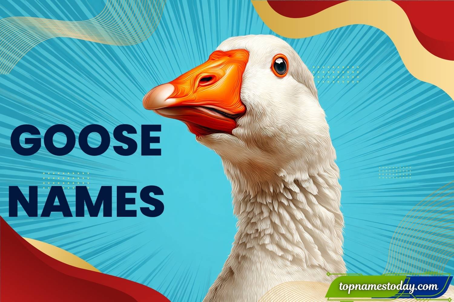 307+ Best Goose Names: Cute, Funny, Unique & Creative Names for Pet ...