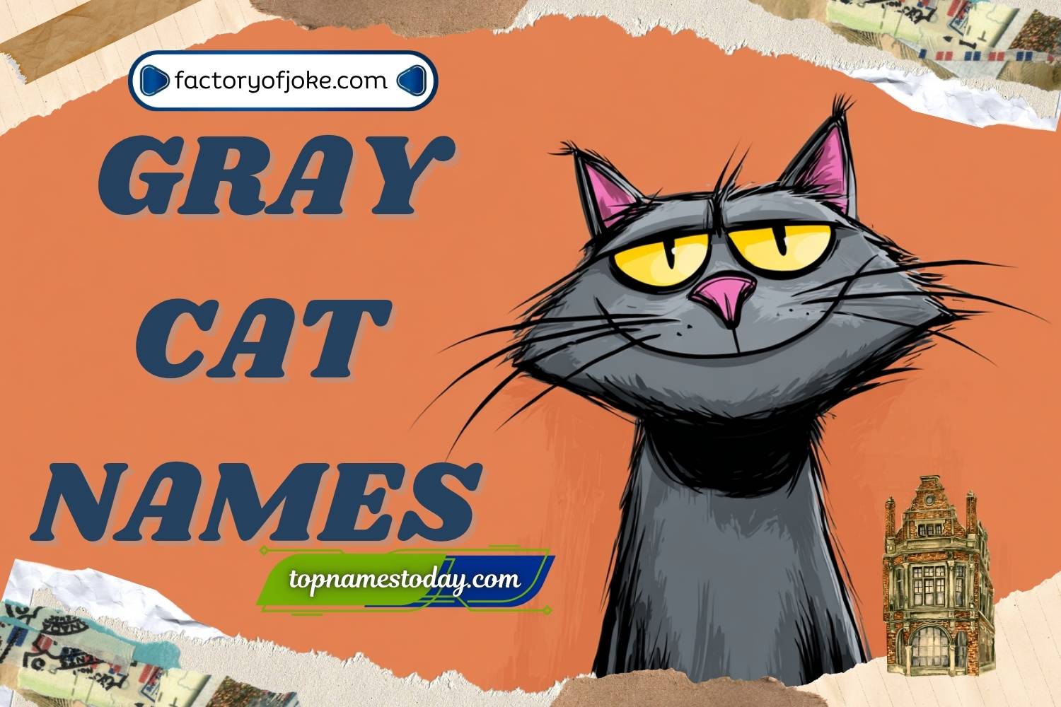 gray cat names