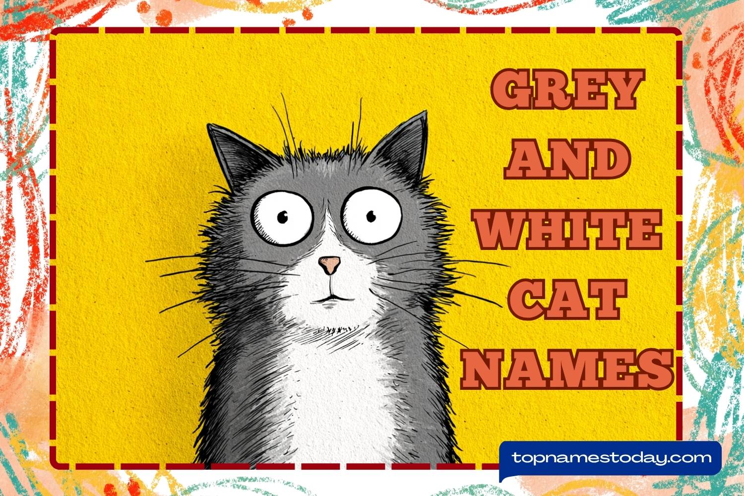 grey and white cat names