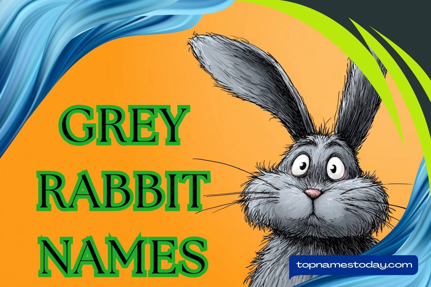 Gray Rabbit Names Anime 320+ Grey Rabbit Names: Cute, Funny, Unique & Creative Names for Your ...