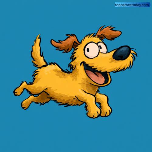 Funny Lazy Dog Names