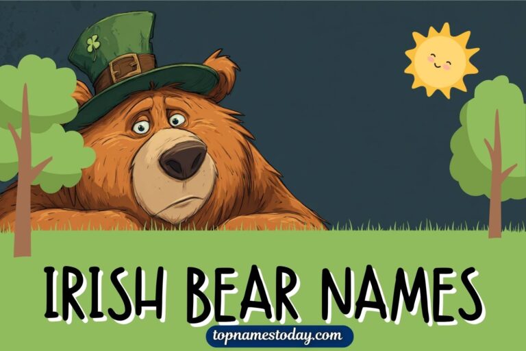 irish bear names