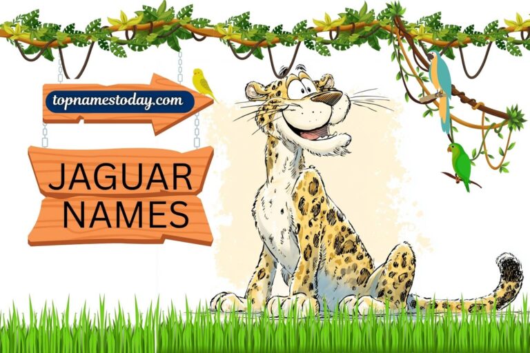 jaguar names
