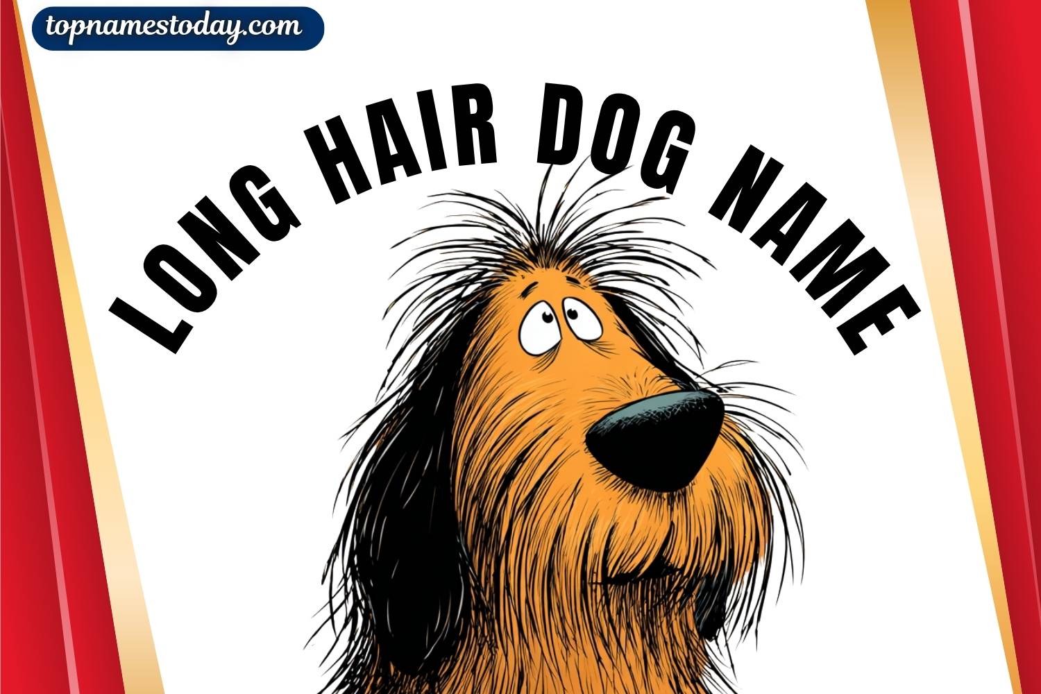 long hair dog name
