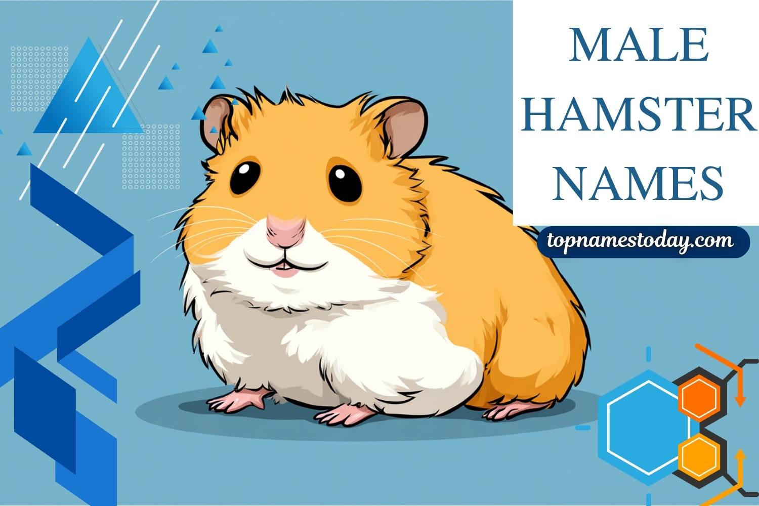 male hamster names