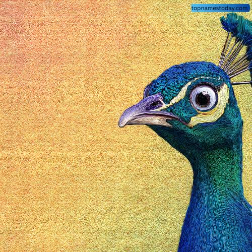 Funny Peacock Names