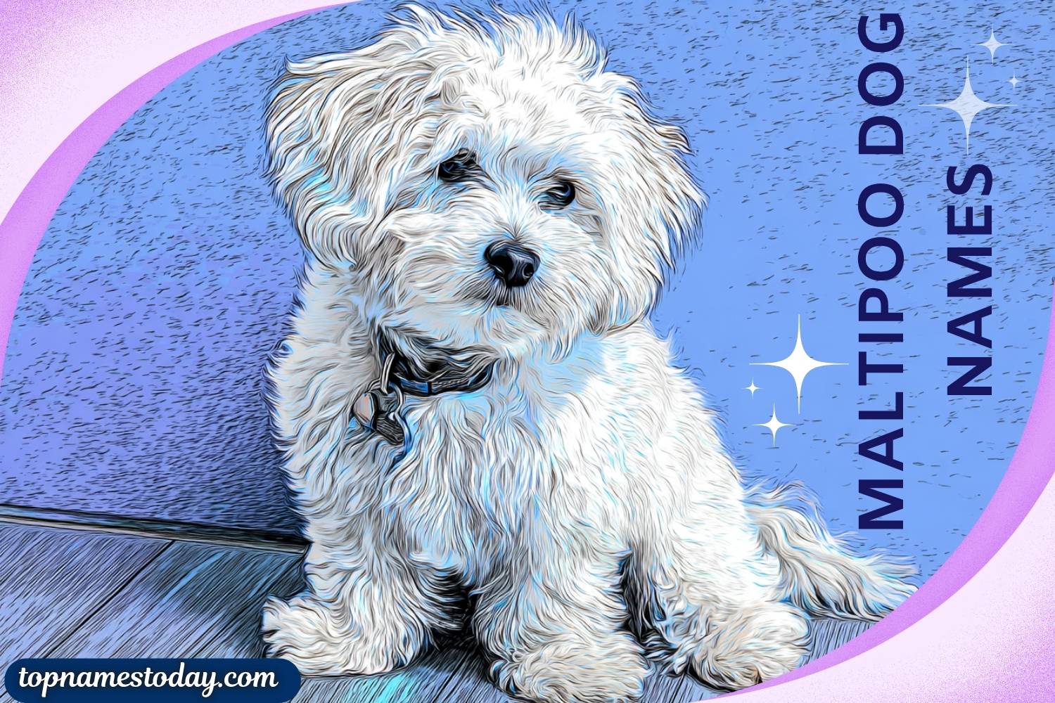 maltipoo dog names