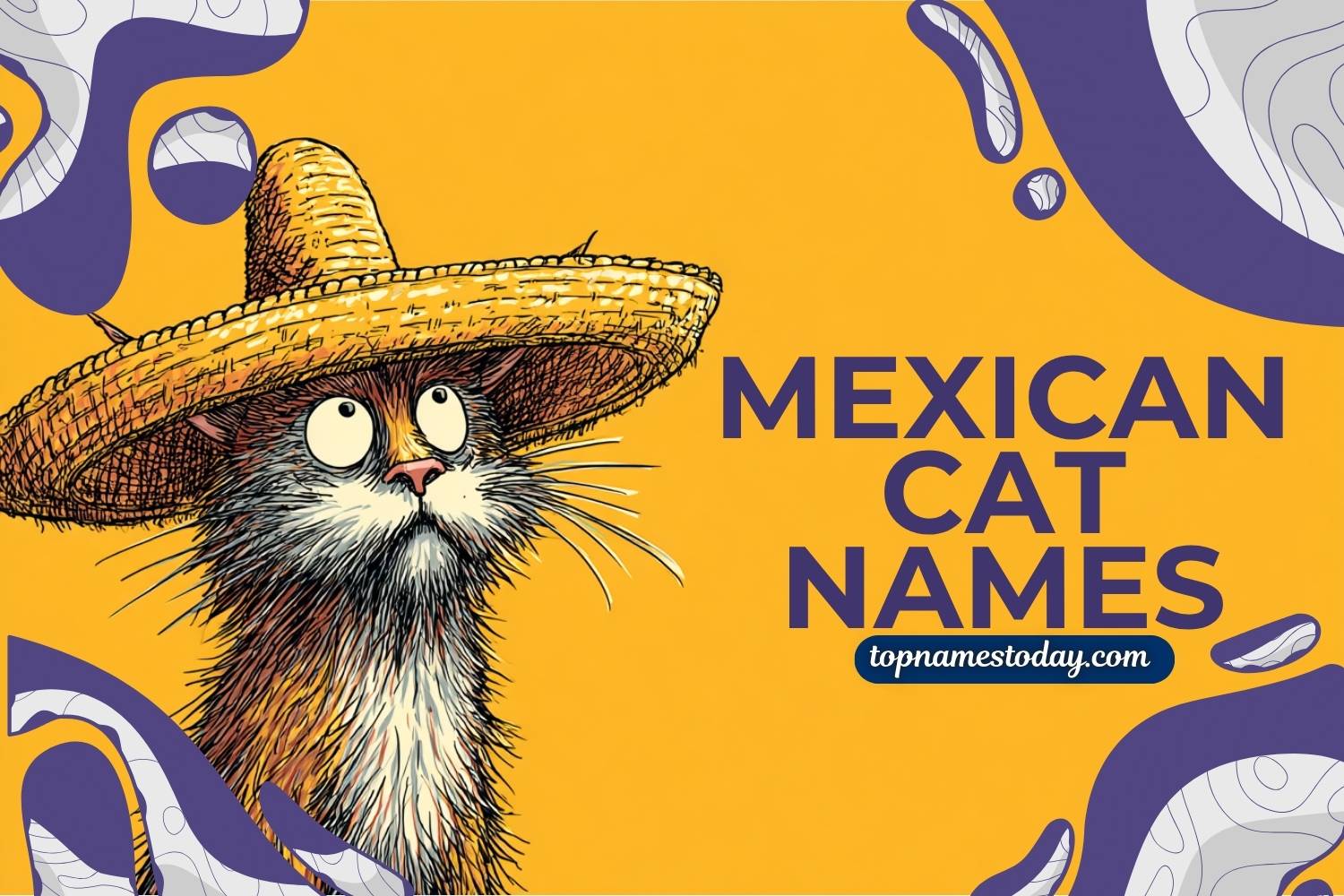 mexican cat names