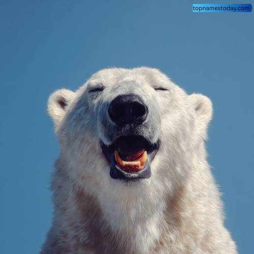 Cool Polar Bear Names