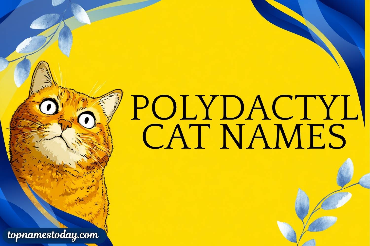 polydactyl cat names