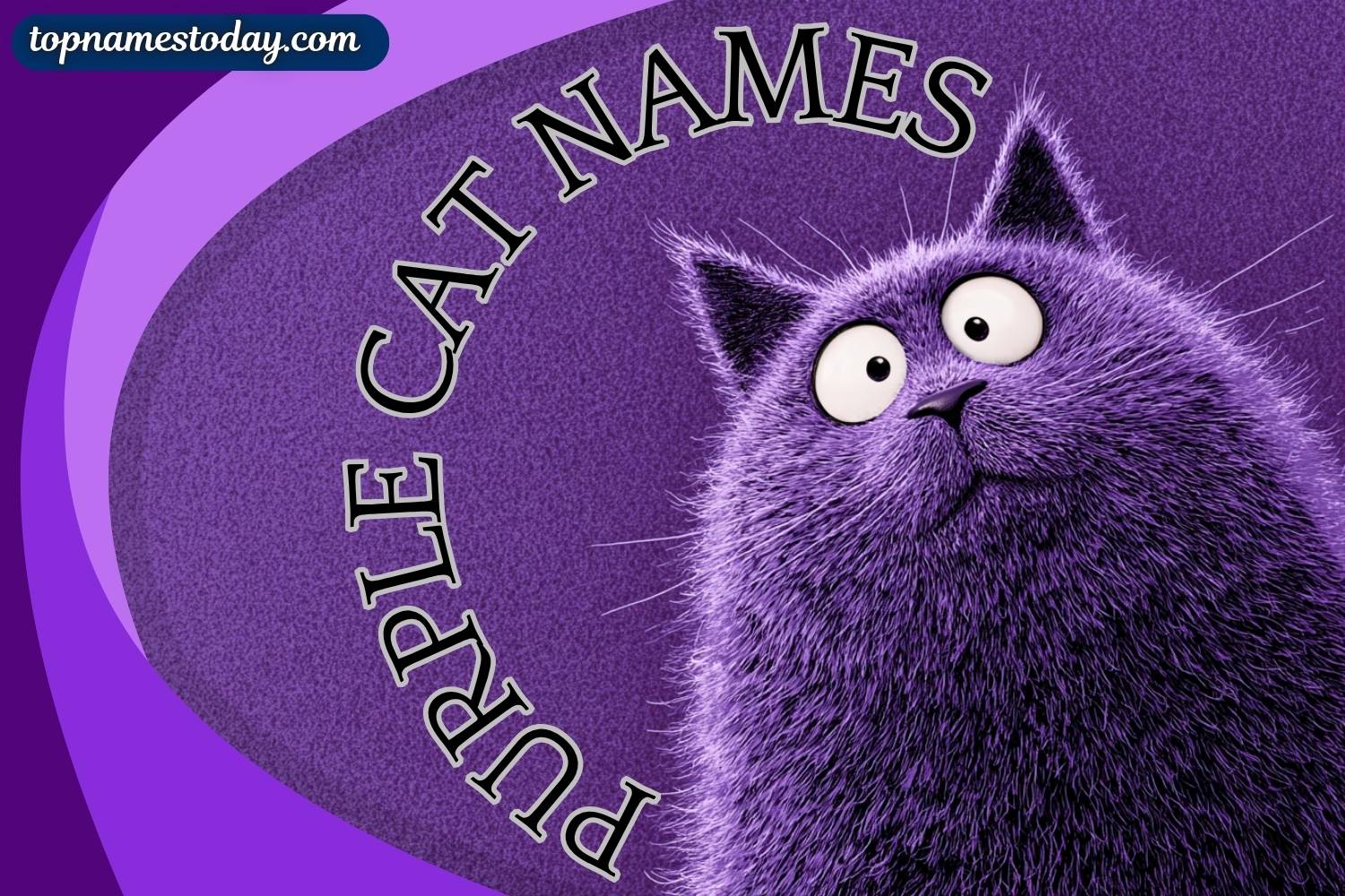 purple cat names