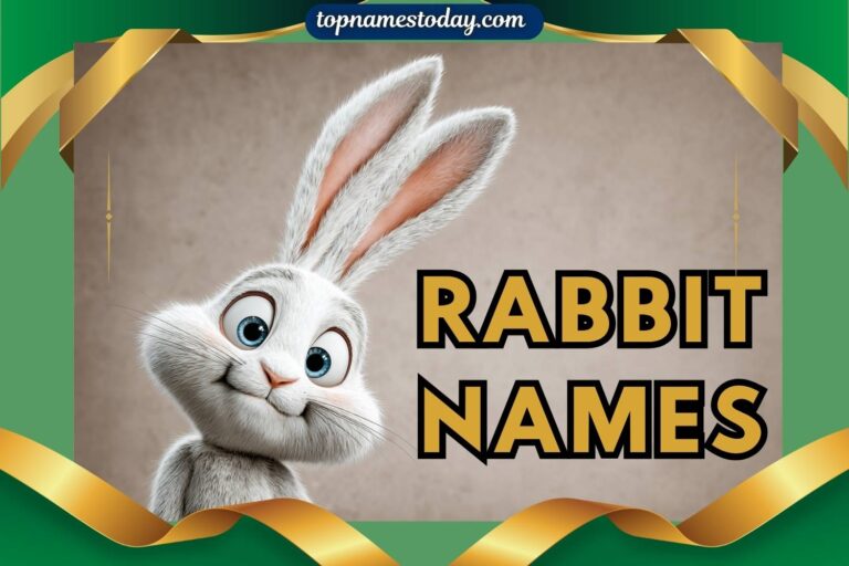 rabbit names