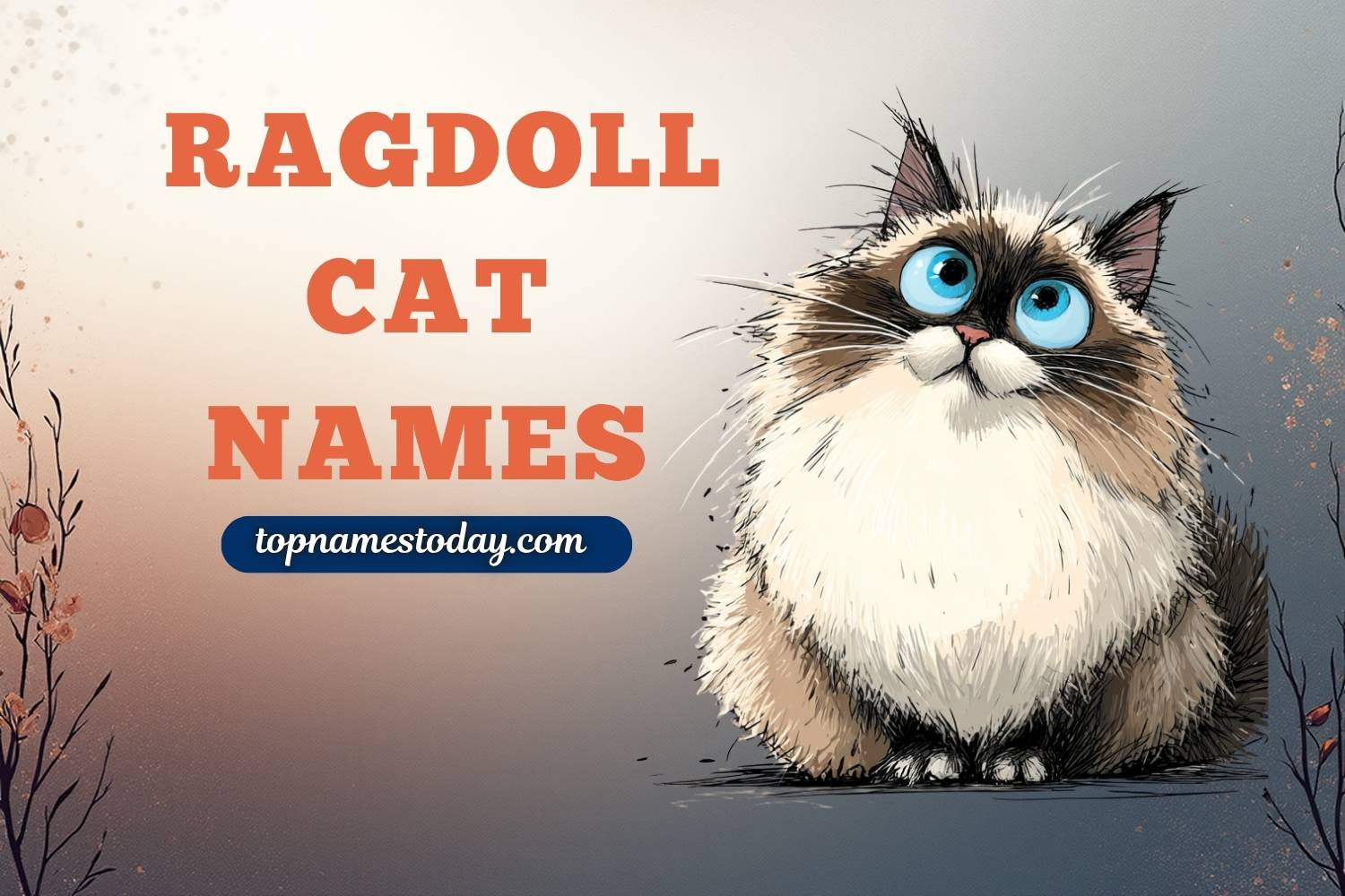 ragdoll cat names
